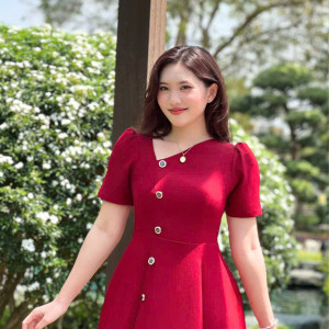 Vera Pleat Dress - HQM8087
