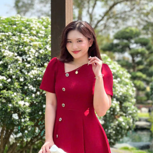 Vera Pleat Dress - HQM8087