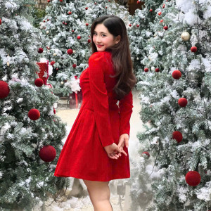 Velvet Muse Dress - HQM8060